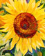 sonnenblume
